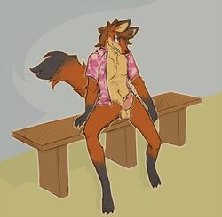 aloha_shirt anthro arm_tuft balls bench black_body black_fur blush bottomless brown_hair canid canine claws clothed clothing ears_front elbow_tufts erection fangs fluffy fluffy_tail fox fur furry furry_only genitals hair humanoid lawyerdog leg_markings male male_only mammal markings navel neck_tuft nipples pattern_clothing pattern_shirt pattern_topwear penis red_body red_fur shirt simple_background socks_(marking) solo tail topwear tuft