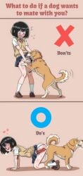 all_fours animal_penis ass-to-ass_penetration black_hair blue_skirt blush bob_cut brown_background brown_vest canine censored circle commentary cum cum_in_pussy cum_inside dog_penis english_commentary female heart highres hippo_power internal_cumshot knotting loafers miniskirt mosaic_censoring one_eye_closed original panties penis pleated_skirt revision school_uniform sex shirt shoes short_hair short_sleeves simple_background skirt smile socks sweater_vest underwear vaginal_penetration vest white_panties white_shirt white_socks x-ray x_(symbol) zoophilia