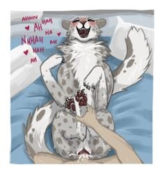 bed bestiality blush cat cum cum_in_pussy cum_inside digitoxici feline female feral heart human human_on_feral interspecies leopard looking_at_viewer male male_on_feral male_pov mammal open_mouth penetration pov sex snow_leopard solo_focus straight vaginal_penetration zoophilia