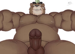 2017 anthro ashigara balls bear erection humanoid_penis low-angle_view male male_only mammal nipples nude overweight penis seyrmo signature simple_background solo tokyo_afterschool_summoners white_background