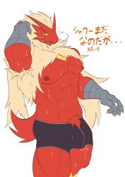 abs absurd_res blaziken bodily_fluids bulge claws clothing digital_drawing_(artwork) digital_media_(artwork) finger_claws fur generation_3_pokemon geryorias hair hi_res looking_at_viewer male muscular muscular_male nintendo nipples pecs pokemon pokemon_(species) simple_background sweat underwear white_background