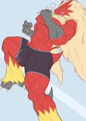 abs absurd_res blaziken bodily_fluids bulge clothing fur generation_3_pokemon genitals geryorias hair hi_res male muscular muscular_male nintendo nipples penis pokemon pokemon_(species) simple_background solo sweat underwear