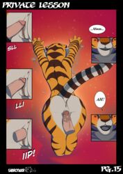 anthro anus ass bear breasts comic english_text feline female kung_fu_panda male mammal master_po_ping master_tigress nude page_15 panda penetration penis private_lesson_(sabrotiger) pussy sabrotiger sex small_breasts straight tiger vaginal_penetration