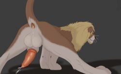 anus balls feline_penis feral lion lynxbrush penis rasied_tail rear_view smile solo spread_legs