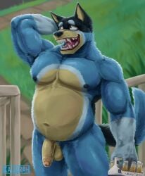 2025 anthro australian_cattle_dog balls bandit_heeler barazoku beer_bottle belly biceps black_nipples blue_body bluey_(series) blush body_hair bottle canid canine canis cattledog chest_hair chest_tuft container deltoids domestic_dog fangs fence flaccid forearm_muscles foreskin front_view genitals hairy hand_behind_head herding_dog hi_res humanoid_genitalia humanoid_penis kaijurah lawn looking_aside male mammal manly musclegut muscular muscular_arms muscular_legs muscular_thighs navel nipples nude open_mouth outside pastoral_dog pecs penis pubes slightly_chubby smile solo standing teeth triceps tuft vein veiny_penis