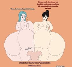 2girls beach big_breasts breasts bulma_briefs bulma_briefs_(garlic_jr_saga) chichi dragon_ball dragon_ball_z female huge_breasts oolong tagme tagme_(character) wumbudbz