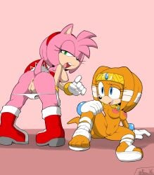amy_rose anthro anus areola ass bent_over bottomwear breasts clothed clothing digital_media_(artwork) duo echidna eulipotyphlan exposed_breasts female footwear fur genitals gloves green_eyes hair handwear hedgehog hi_res looking_at_viewer looking_back mammal monotreme navel neo_x6 nipples open_mouth panties panties_down partially_clothed pink_body presenting presenting_anus presenting_hindquarters presenting_pussy pussy rear_view sandals sega shoes simple_background sitting skirt smile sonic_adventure sonic_the_hedgehog_(series) spread_legs spreading tail tikal_the_echidna topwear underwear underwear_down