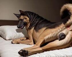 ai_generated animated anus bed canid canine canine_pussy canis domestic_dog female feral feral_only german_shepherd pawpads paws pussy tongue video