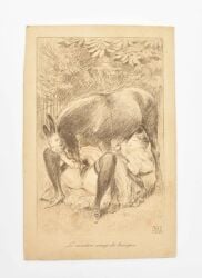 69_position animal_genitalia animal_penis anus asinus balls better_version_at_paywall bottomwear clothing cunnilingus donkey duo equid equine equine_genitalia equine_penis erection female feral footwear french_text genitals handjob hi_res high_heels human human_on_feral interspecies legwear lying male male/female mammal monochrome on_back oral paul_avril penile penis plant pubes pussy sex shoes signature skirt spread_legs spreading stockings text tongue tongue_out translation_request tree vaginal_penetration zoophilia
