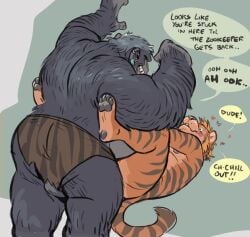 2025 anthro ape arm_hair aroused ass balls biceps big_butt blush body_hair bottomwear butt_hair clothed clothing dialogue dominant dramamine duo ear_piercing english_text eye_contact felid forearm_hair forearms genitals gorilla grin hairy hairy_back hairy_hands hairy_legs hands_above_head haplorhine heart_symbol legs_up loincloth loincloth_only looking_at_another lying male male/male mammal muscular muscular_thighs nude on_back open_mouth pantherine pecs piercing playful_banter primate rear_view reclining roleplay slightly_chubby smile speech_bubble text tiger topless triceps