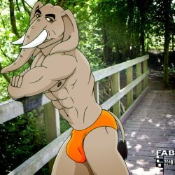 2018 abs anthro black_eyebrows black_tail_tuft brown_eyes bulge closed_smile clothed clothing digital_media_(artwork) elephant elephantid eyebrows fabfelipe grey_body grey_skin hi_res male mammal mouth_closed muscular muscular_anthro muscular_male navel orange_clothing orange_speedo orange_swimwear proboscidean proboscis_(anatomy) smile solo speedo speedo_only swimwear tail tail_tuft topless topless_anthro topless_male trunk_(anatomy) tuft tusks