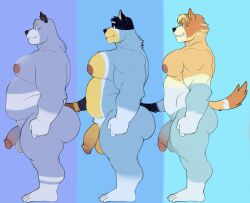 anthro areola ass australian_cattle_dog balls bandit_heeler barazoku big_balls big_butt big_pecs big_penis blue_body blue_fur bluey_(series) body_hair brother_(lore) brothers_(lore) canid canine canis cattledog chest_hair domestic_dog feet flaccid foreskin fur genitals glans group hairy_balls herding_dog hi_res humanoid_feet humanoid_genitalia humanoid_penis hunnipanda inverted_nipples male mammal muscular muscular_anthro muscular_male nipples nude partially_retracted_foreskin pastoral_dog pecs penis plantigrade radley_heeler retracted_foreskin sibling_(lore) simple_background size_difference smile stripe_heeler tail trio