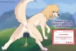 absurd_res anatomically_correct anatomically_correct_genitalia anatomically_correct_vulva animal_genitalia animal_vulva anus bathroom blonde_hair blue_eyes bodily_fluids butt canid canine canis crouching dialogue domestic_dog female feral fluffy fluffy_tail fur genital_fluids genitals ghostyxtoasty hair hi_res makeup mammal outside peeing poodle roslyne_(ghostyxtoasty) solo tail text urine vulva watersports yellow_body yellow_fur