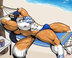 alty anthro beach bulge canid canine clothing fox fur hair long_hair male male_only mammal muscular muscular_male orange_body orange_fur overly_muscular seaside solo speedo swimwear unknown_artist