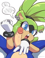 1girls 2025 2d 2d_(artwork) ? anthro anthro_female anthro_male anthro_on_anthro anthro_only blue_eyes blue_fur curved_to_the_right_penis dialog dialogue face_out_of_frame forearm_cock green_eyes hair hair_tie hair_tied hedgehog hedgehog_boy hedgehog_humanoid imminent_oral imminent_penetration imminent_sex motion motion_lines mouth_opened open_mouth opened_mouth question sega sonic_(series) sonic_the_hedgehog sonic_the_hedgehog_(comics) sonic_the_hedgehog_(idw) sonic_the_hedgehog_(series) surge_the_tenrec tenrec tenrec_ears tenrec_girl tenrec_humanoid the_other_half theotherhalf tohdraws