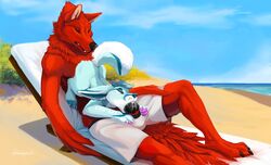 animal_genitalia animal_penis anthro anthro_on_feral avian beach bird canine canine_penis cardinal_(bird) clothed clothing duo erection fellatio fennec feral fox hybrid knot male mammal oral outside penis seaside sex size_difference snowfoxatheart yaoi zoophilia