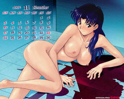 2002 calendar_(medium) hamaya_shin'ichi large_breasts misato_katsuragi neon_genesis_evangelion tagme