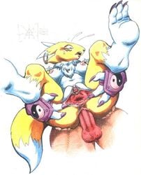 2003 anal_insertion anthro buggery color digimon female front_view fur furry human insertion interspecies male piercing renamon sawblade_(artist) sex straight tagme vulva