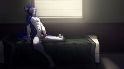 balls bedroom blue_fur canine erection fur girly looking_at_viewer male mammal nude penis sitting solo stefan_furshephsky tanks_(artist) white_fur wolf