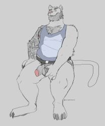 2023 absurd_res anthro arm_tattoo arm_tuft balls beard blue_clothing blue_shirt blue_tank_top blue_topwear body_hair chest_hair clothing clothing_aside corruptedsnout ear_piercing elbow_tuft facial_hair felid feline genitals grin grinning_at_viewer hi_res jockstrap jockstrap_aside looking_at_viewer male mammal nipple_piercing nipples pecs penis piercing pubes shirt shoulder_tattoo shoulder_tuft sitting slightly_chubby smile solo tank_top tattoo topwear tuft underwear underwear_aside