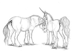 2007 anatomically_correct anatomically_correct_pussy animal_genitalia animal_pussy anus braided_hair bridle duo ebonytigress equine equine_pussy female feral hair hooves horn horse mammal mane nude pussy raised_tail realistic simple_background sketch standing unicorn white_background