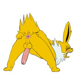 anus ass eeveelution feral jolteon male nintendo penis pokemon rubisdrake spread_ass spread_legs spreading video_games white_background