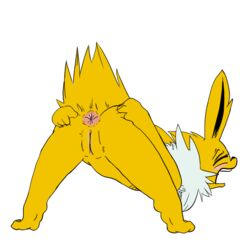 anus ass eeveelution female feral jolteon nintendo pokemon pokemon_(species) pussy rubisdrake spread_ass spread_legs spreading video_games white_background