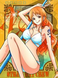 nami (one piece) from 2017 one piece body calendar -glamour-
