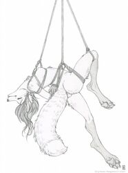 2017 anthro bondage bondage bound breasts canine female fox fur hair mammal nipples nude shinigamigirl simple_background solo