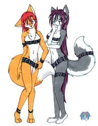 2009 anklet anthro armband belt blue_eyes blush bracelet breasts canine chest_tuft dickgirl duo female flaccid fox fur green_eyes grey_fur hair heterochromia intersex jewelry long_hair looking_down mammal penis purple_hair red_hair rusca rusca_calma simple_background standing tail_belt tan_fur thinking tierafoxglove tuft white_background white_fur wolf yuina