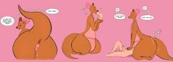 blowjob disney edited_by_uploader facesitting human_on_feral kanga kangaroo tagme tagme_(artist) vagina winnie_the_pooh_(franchise)