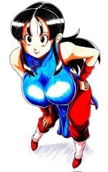 1girls area5169458561 big_breasts breasts chichi dragon_ball dragon_ball_z female fully_clothed large_breasts