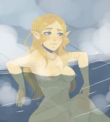 princess zelda from breath of the wild by irukibo