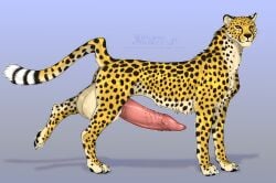 animal_genitalia animal_penis balls big_balls big_penis black_tail cheetah erection facial_spots felid feline feline_genitalia feline_penis feral fur genitals hi_res huge_balls huge_cock huskii-s hyper jasiri male mammal markings penis pink_penis side_view signature simple_background solo spots spotted_back spotted_body spotted_face spotted_fur spotted_legs spotted_markings spotted_neck spotted_tail striped_markings striped_tail stripes tail tail_markings tan_balls tan_body tan_fur white_tail yellow_body yellow_eyes yellow_fur yellow_tail