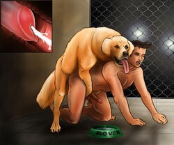 all_fours anal animal_genitalia animal_penis canine canine_penis cum cumshot doggy_style duo ejaculation feral from_behind_position internal male male_only mammal orgasm penis sex vermilion888 yaoi zoophilia