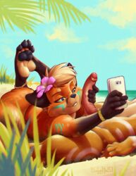 2017 4_toes 5_fingers anthro beach black_fur black_pawpads blonde_hair blue_eyes bracelet canine cellphone cheek_tuft duo erection faceless_male female flower fox fur gloves_(marking) hair hair_flower humanoid_penis jewelry juno kalahari lying male mammal markings nude on_back on_front orange_fur outside pawpads paws penis penis_grab phone plant seaside selfie short_hair sky smile straight toes tuft uncut