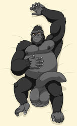 anthro ape balls belly big_penis drakedragon flaccid gorilla gorilla_grodd humanoid_penis hyper hyper_penis looking_at_viewer male male_only mammal nipples nude penis primate sagging_balls slightly_chubby solo uncut