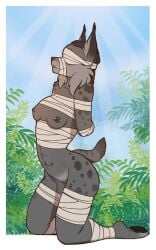 abs aisha_greylynx anthro barbell_piercing blindfold breasts canada_lynx clothed clothing dark_body dark_skin felid feline female fur genitals grey_body grey_fur hands_behind_back hi_res kneeling lynx mammal morgdl multi_nipple mummy_wrappings muzzle_(object) muzzled nipple_piercing nipples nude outside pawpads piercing pussy ruff short_tail skimpy small_breasts spots tail tufted_ears vulva