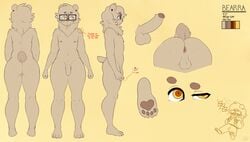 anthro anus ass backsack balls bear bearra bearra_(character) brown_eyes erection eyewear flaccid foreskin glasses humanoid_penis male mammal model_sheet partially_retracted_foreskin pawpads penis solo uncut