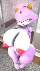 blaze the cat from sega by rocketspuff