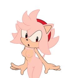amy rose from sega by cintraarts