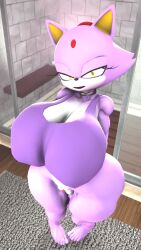 blaze the cat from sega by rocketspuff