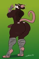 master splinter from teenage mutant ninja turtles by zackdadawg