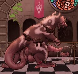 anal anal_sex avian_feet bag balls big_balls bodily_fluids bracelet cloudweaver_(artist) cum cum_splatter cum_while_penetrated duo ear_piercing ear_ring ejaculation feral floor genital_fluids genitals hi_res horn hybrid hybrid_genitalia hybrid_penis inside jewelry male male_only mammal masturbation medial_ring medial_ringed_hybrid_penis multicolored_body murid murine musk musk_cloud musky_penis patterned_fur penetration penis piercing rat rat_tail rear_view red_eyes ring_piercing rodent satchel stained_glass tail tail_fetish tail_in_ass tail_in_own_ass tail_insertion tail_play tile tile_floor two_tone_body vein veiny_penis voyeur whiskers wrinkled_penis