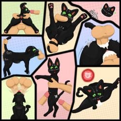 2025 2boys a_cat_is_fine_too anal anal_sex anus ass backsack balls balls_deep ballsack black_body black_eyes black_fur bulge cat cheek_bulge cum cum_in_ass cum_in_pussy cum_in_vagina cum_inside deep_penetration deep_throat disembodied_hand disembodied_penis domestic_cat double_fellatio double_oral double_penetration feline fellatio female female_feral feral_focus genitals grabbing_from_behind green_sclera heart_pupils heart_symbol impregnation licking licking_cum little_kitty_(lkbc) little_kitty_big_city looking_at_another looking_at_genitalia looking_at_penis looking_worried majika male male_human male_on_feral multiple_images multiple_scenes neck_bulge oral oral_penetration ovum pawpads paws penis pink_nose pussy self_lick sex size_difference sound_effects sperm_cell spitroast stomach_bulge tail tongue tongue_out trio vaginal_penetration vulva whiskers white_whiskers zoôphilia