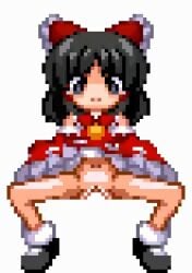 black_hair female female_focus female_only female_penetrated light-skinned_female light_skin m.u.g.e.n pixel_animation pixel_art reimu_hakurei reverse_cowgirl_position solo touhou vagina vaginal_penetration vaginal_sex white_background