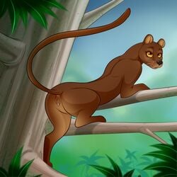 2017 anus female feral fossa lonbluewolf looking_at_viewer looking_back mammal pussy solo tagme yellow_eyes