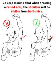 1guy anatomy muscles tutorial unknown_artist