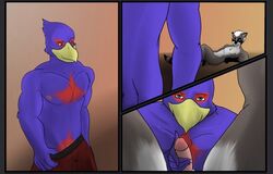 anthro avian bird clothed clothing comic falco_lombardi first_person_view male mammal nintendo oral penis raccoon rave_raccoon sex star_fox star_ringer topless video_games yaoi