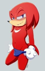 anthro bulge clothing digital_media_(artwork) knuckles_the_echidna male red_body sega solo sonic_(series) sonic_the_hedgehog_(series) speedo swimsuit_bulge swimwear